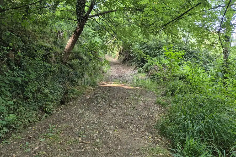 Rustico in vendita di 160 mq a €145.000 (rif. 24/2025)