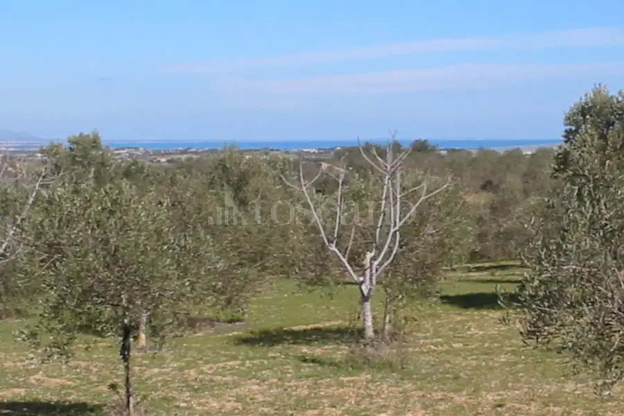 Casale in vendita di 406 mq a €660.000 (rif. 82/2026)