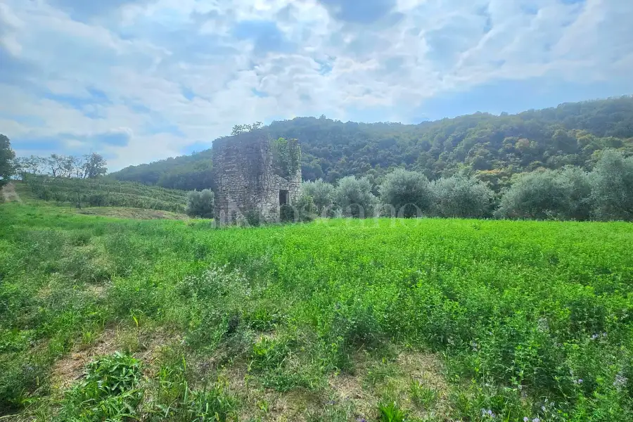 Agricolo in vendita di 15.000 mq a €210.000 (rif. 75/2026)