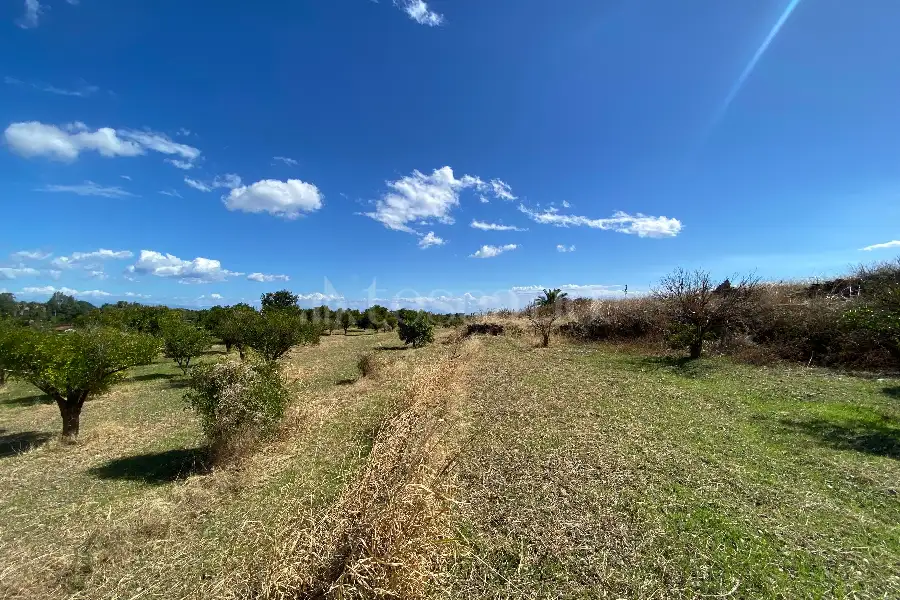 Agricolo in vendita di 5.393 mq a €36.000 (rif. 16/2026)