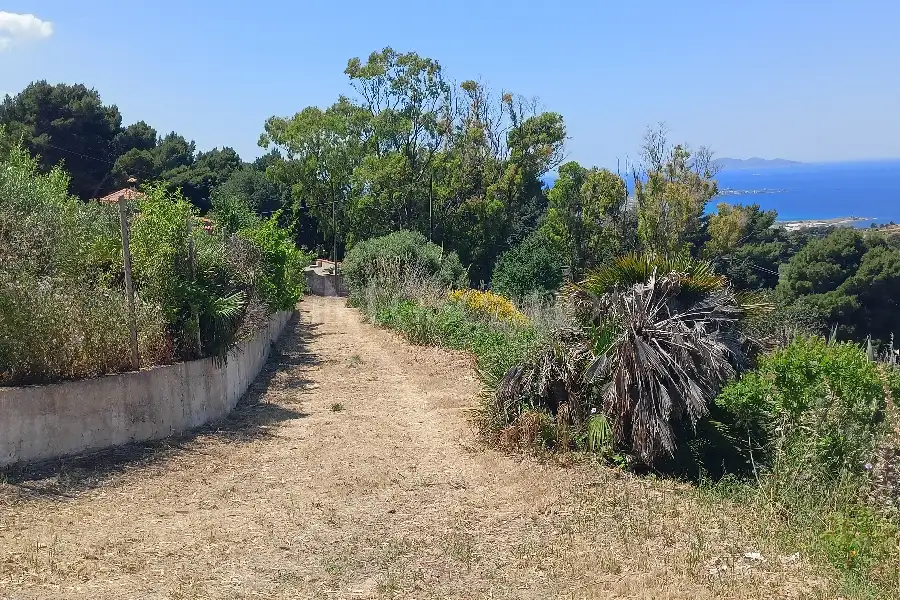 Agricolo in vendita di 37.700 mq a €225.000 (rif. 31/2026)