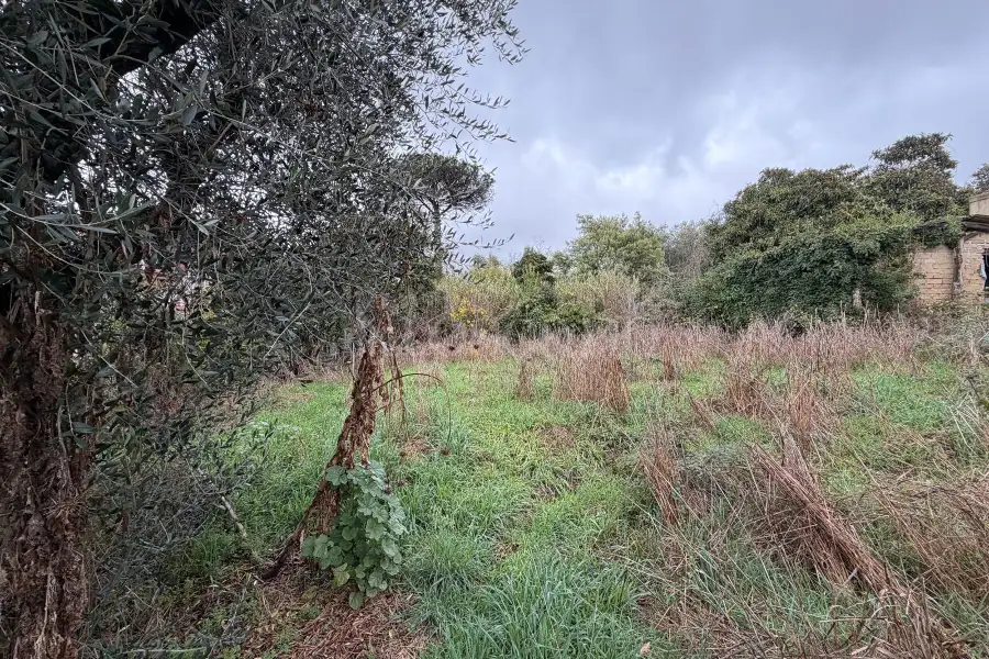 Casa Indipendente in vendita di 40 mq a €99.000 (rif. 70/2025)