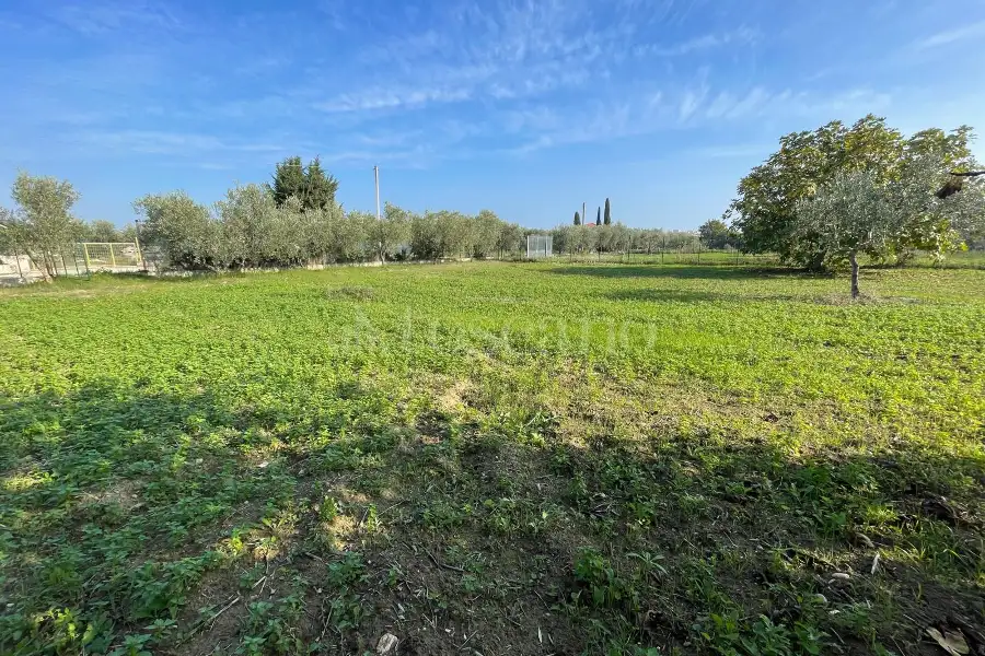 Agricolo in vendita di 1.288 mq a €37.000 (rif. 59/2025)