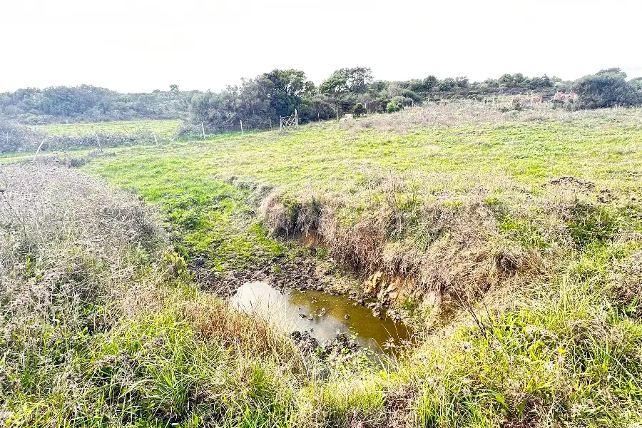 Agricolo in vendita di 247.451 mq a €250.000 (rif. 58/2024)