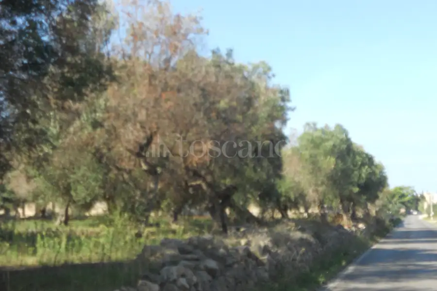 Edificabile Residenziali in vendita di 43.364 mq a €2.200.000 (rif. 20/2026)