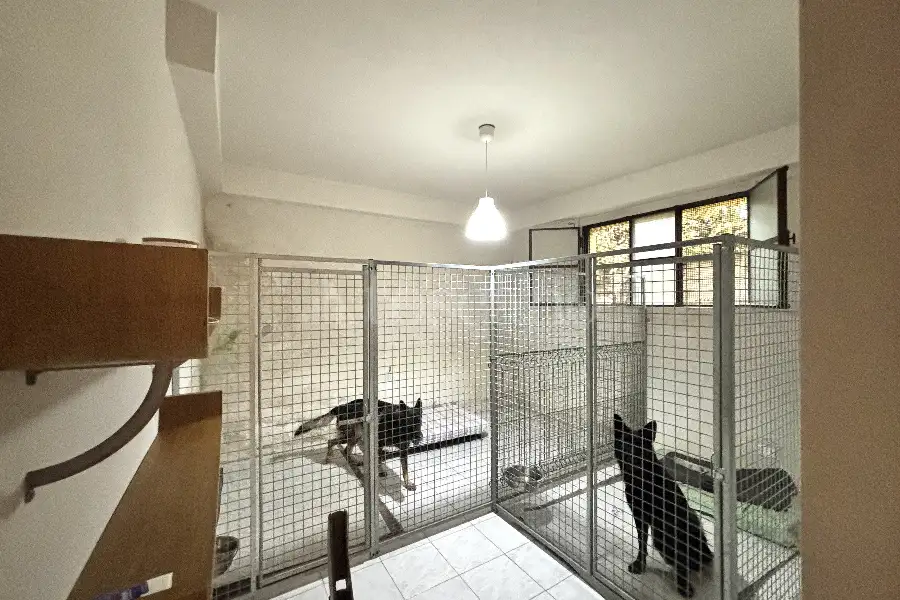 Villa in vendita di 190 mq a €496.000 (rif. 36/2026)