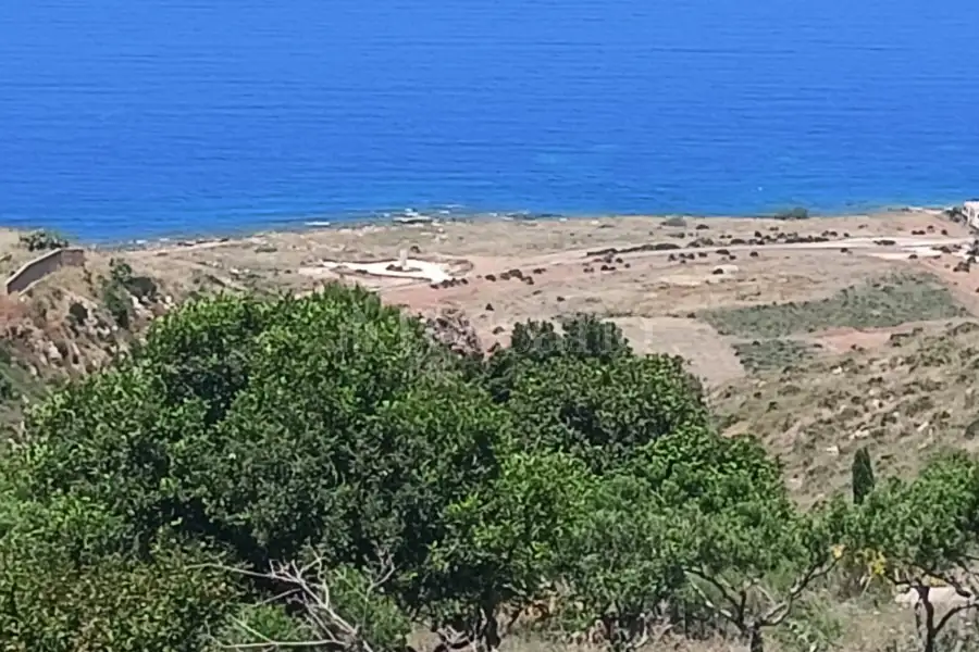 Agricolo in vendita di 37.700 mq a €225.000 (rif. 31/2026)