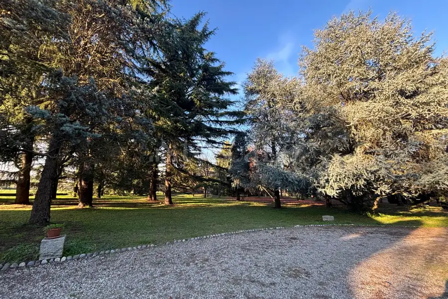 Villa Plurifamiliare in vendita di 370 mq a €1.200.000 (rif. 43/2025)