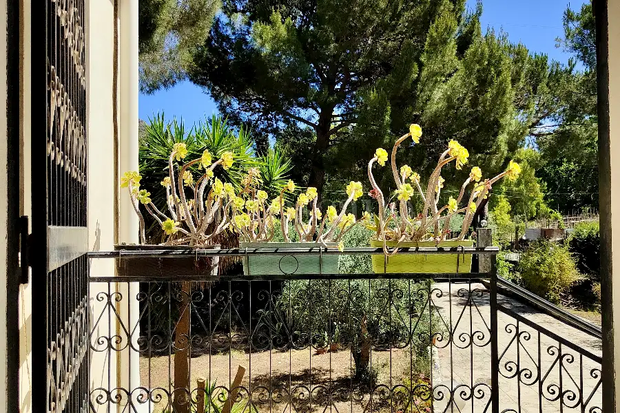 Villa in vendita di 500 mq a €255.000 (rif. 41/2026)