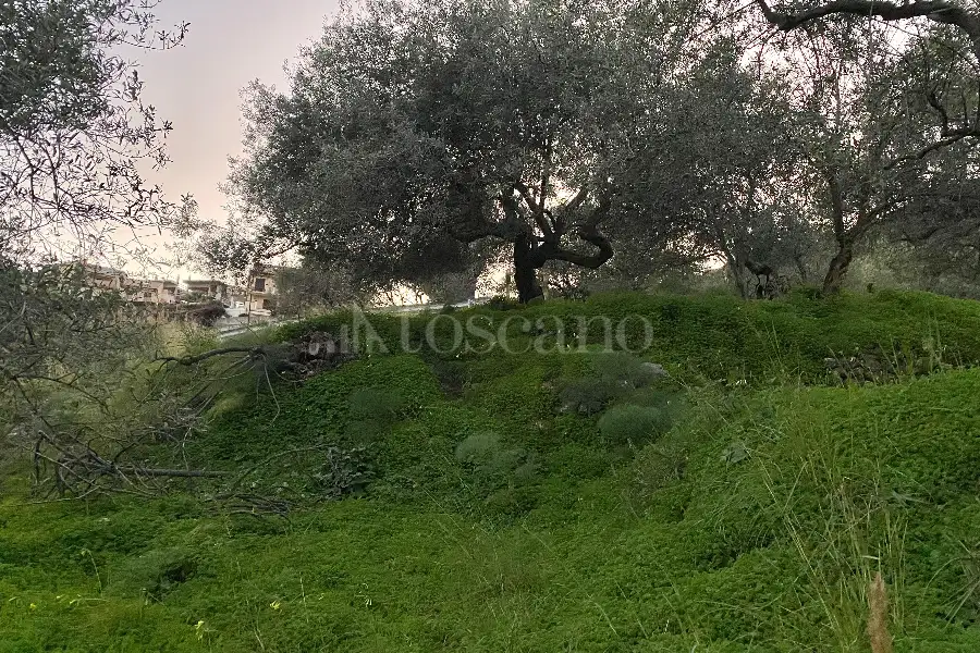 Casale in vendita di 60 mq a €68.000 (rif. 88/2024)