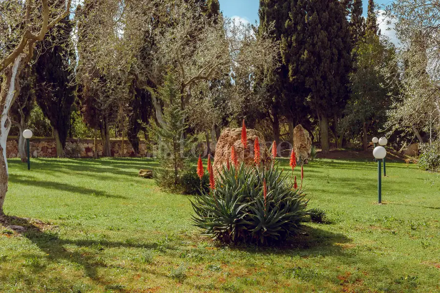 Villa in vendita di 400 mq a €699.000 (rif. 166/2023)