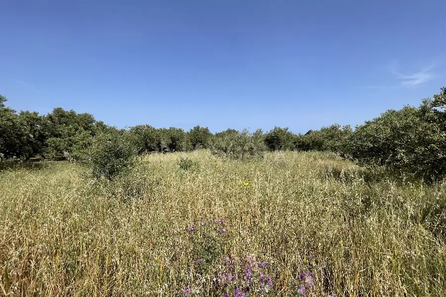 Agricolo in vendita di 3.300 mq a €28.000 (rif. 10/2025)