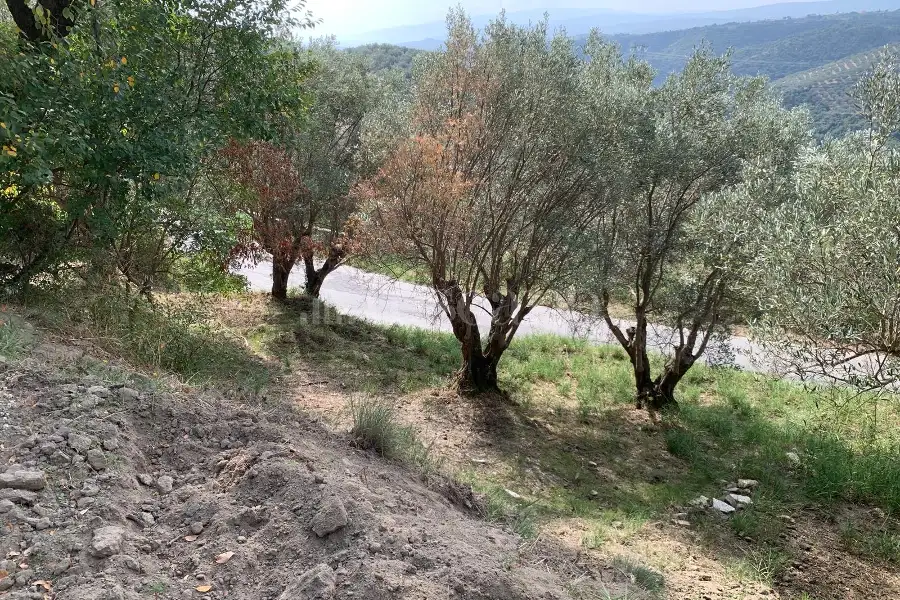 Agricolo in vendita di 4.000 mq a €18.000 (rif. 44/2026)