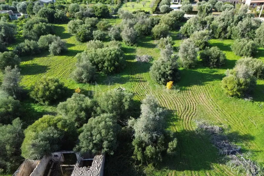 Edificabile Residenziali in vendita di 25.000 mq a €335.000 (rif. 137/2025)