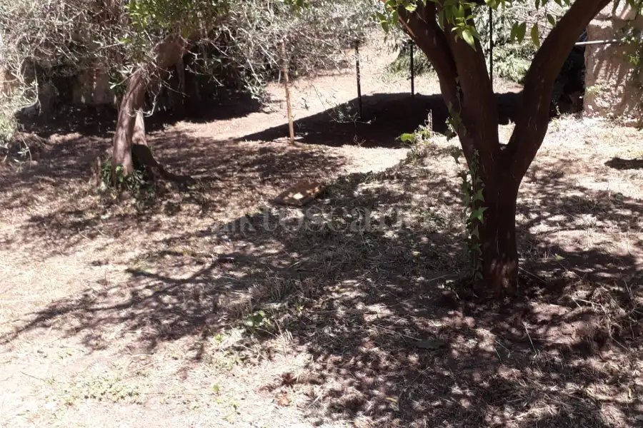 Villa in vendita di 225 mq a €100.000 (rif. 98/2016)