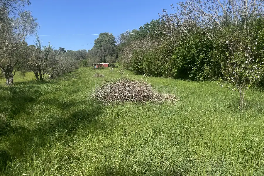 Agricolo in vendita di 3.360 mq a €12.000 (rif. 22/2026)