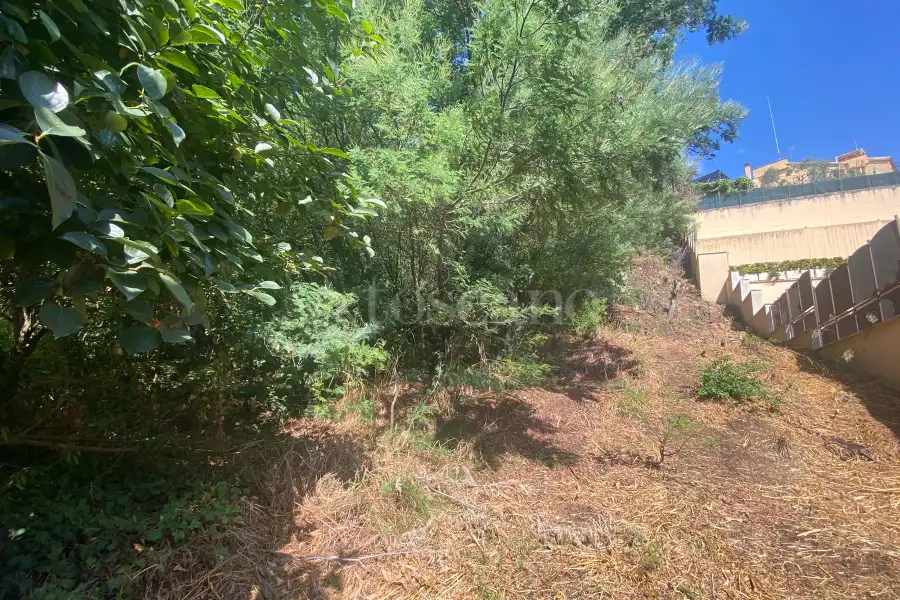 Agricolo in vendita di 1.500 mq a €54.000 (rif. 43/2025)