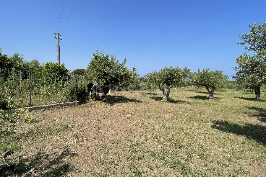 Agricolo in vendita di 3.300 mq a €28.000 (rif. 10/2025)