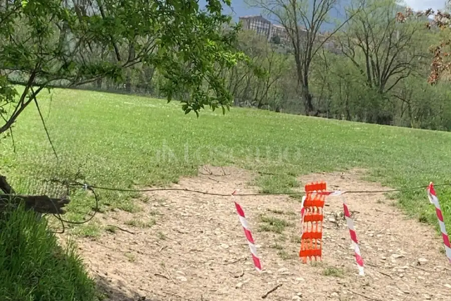 Agricolo in vendita di 10.000 mq a €54.000 (rif. 23/2026)
