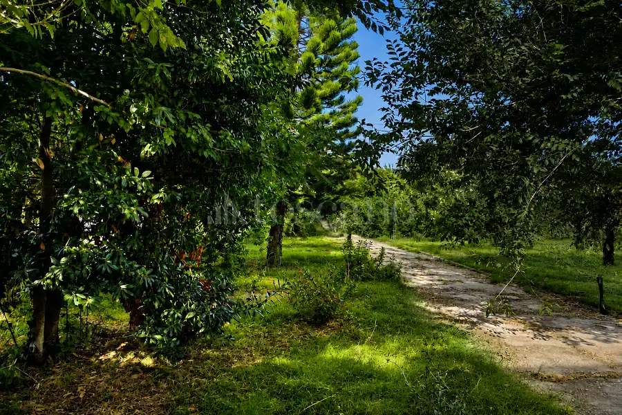 Villa in vendita di 230 mq a €299.000 (rif. 72/2025)