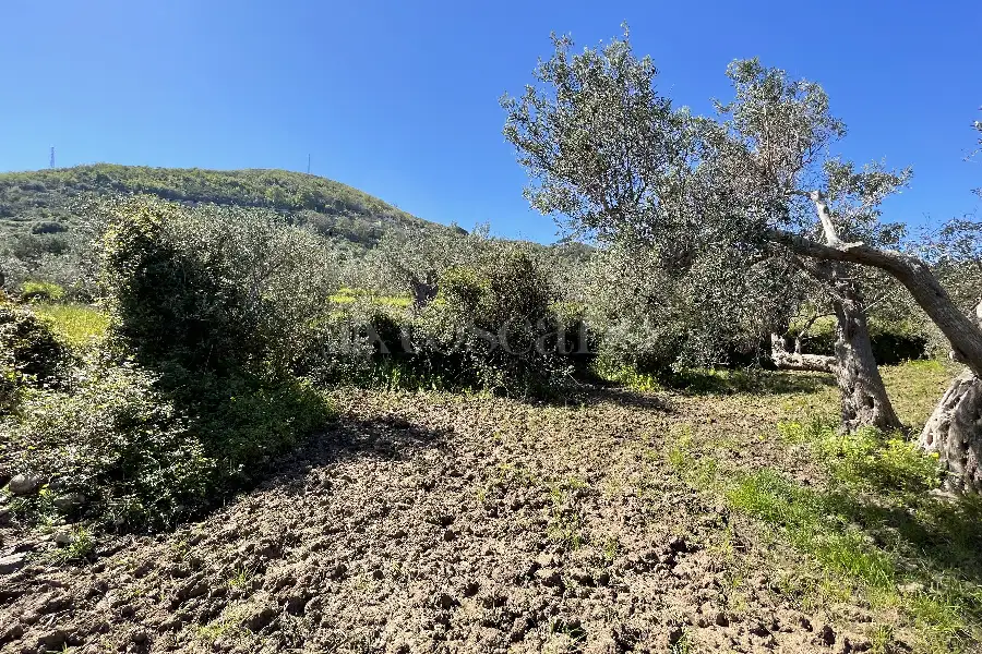 Rustico in vendita di 178 mq a €70.000 (rif. 14/2026)