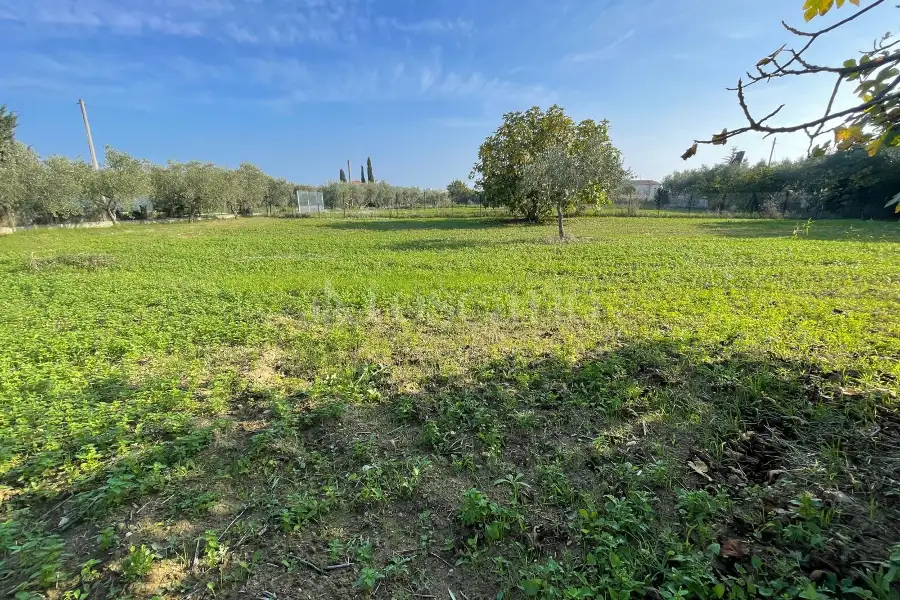Agricolo in vendita di 1.288 mq a €37.000 (rif. 59/2025)