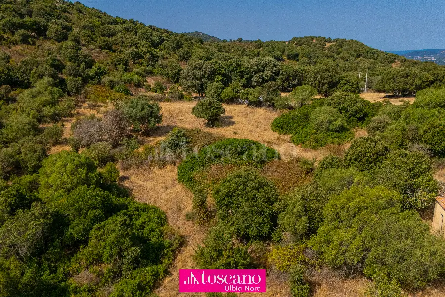 Agricolo in vendita di 176.937 mq a €170.000 (rif. 49/2026)
