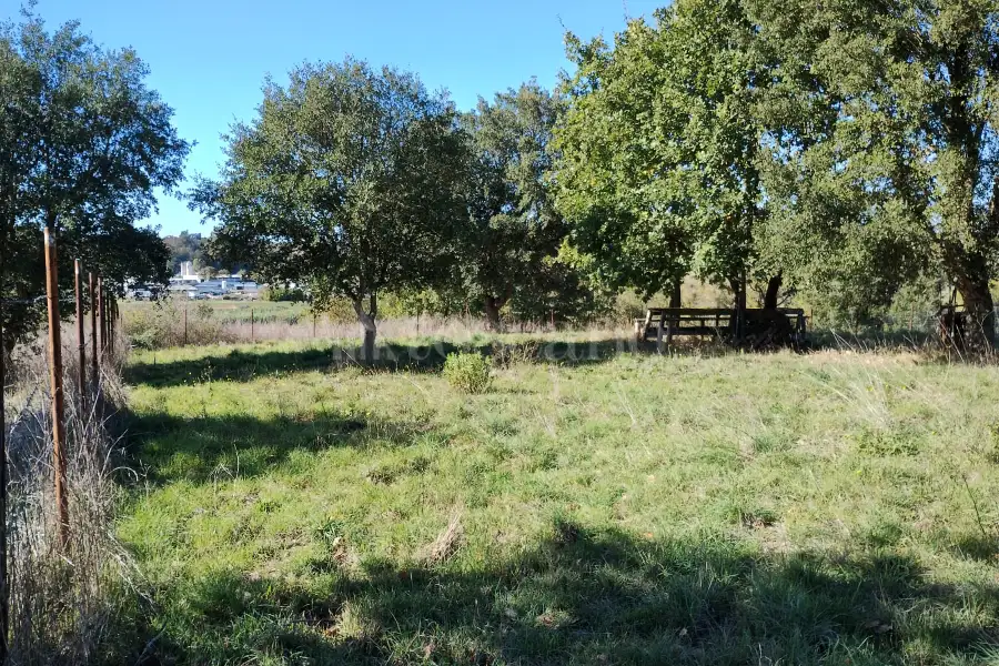 Agricolo in vendita di 1.200 mq a €45.000 (rif. 62/2025)