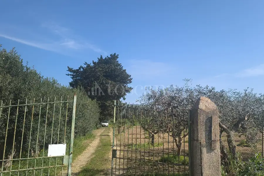 Agricolo in vendita di 14.880 mq a €108.000 (rif. 27/2026)