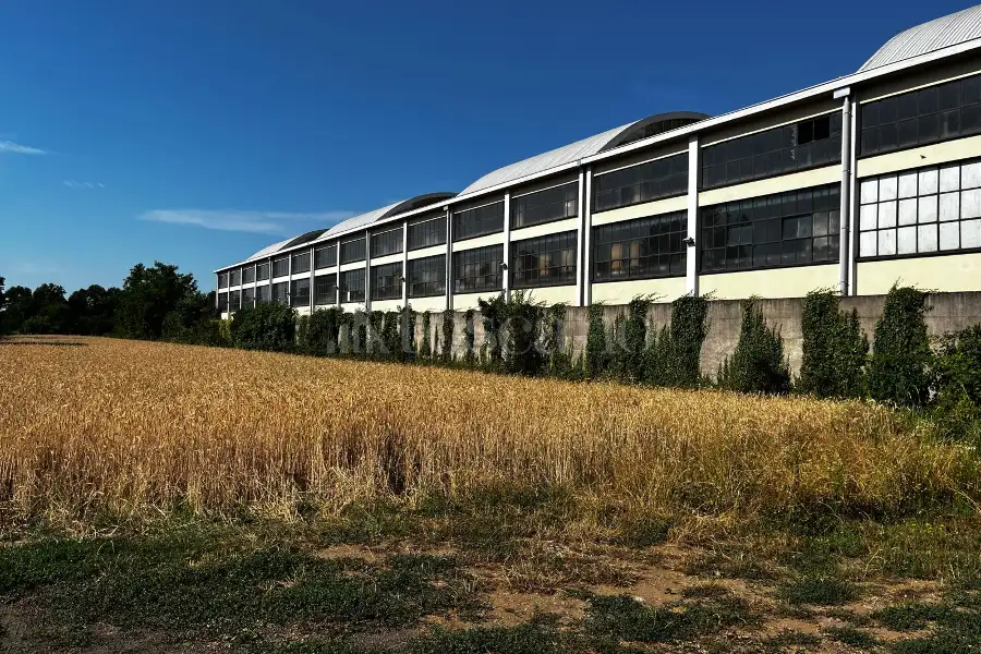 Edificabile Residenziali in vendita di 610 mq a €75.000 (rif. 5/2025)