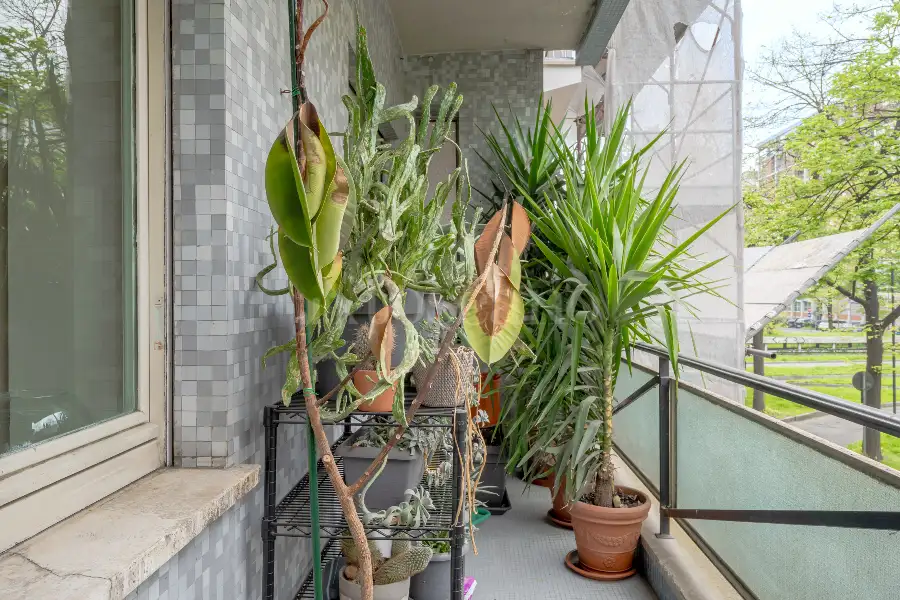 Casa in vendita di 200 mq a €700.000 (rif. 11/2025)