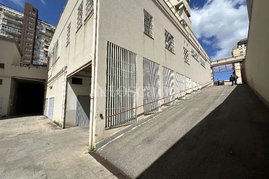 Box in affitto di 264 mq a €1.500 (rif. 114/2025)