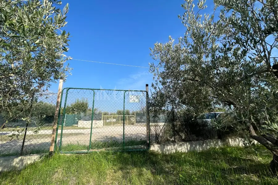 Agricolo in vendita di 1.288 mq a €37.000 (rif. 59/2025)