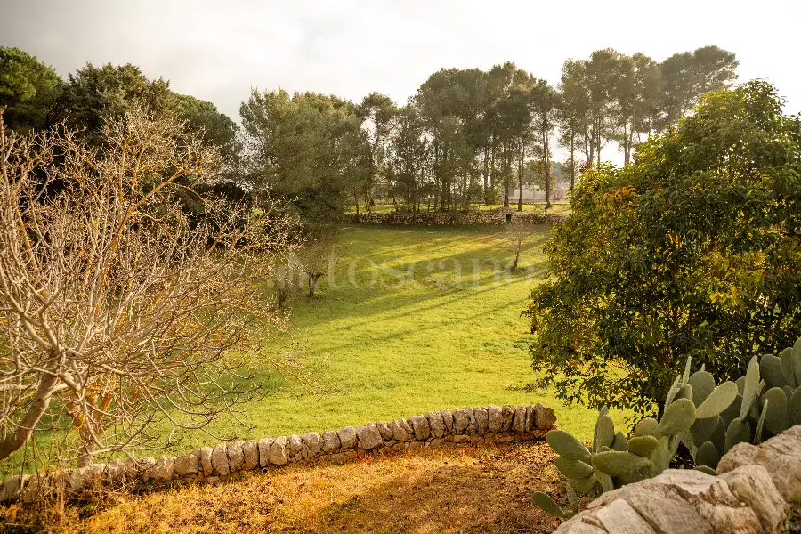 Villa in vendita di 143 mq a €650.000 (rif. 32/2025)