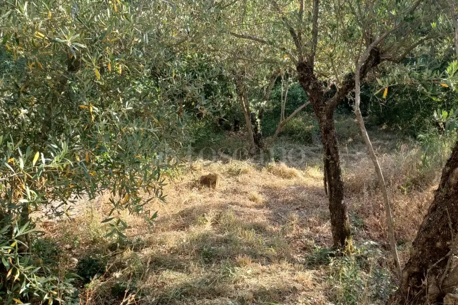 Casa Indipendente in vendita di 135 mq a €50.000 (rif. 18/2024)