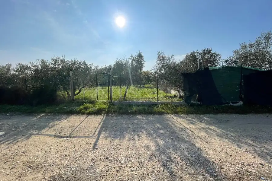 Agricolo in vendita di 1.288 mq a €37.000 (rif. 59/2025)