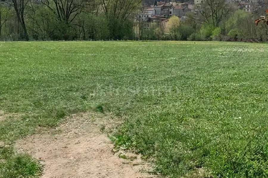 Agricolo in vendita di 10.000 mq a €54.000 (rif. 23/2026)