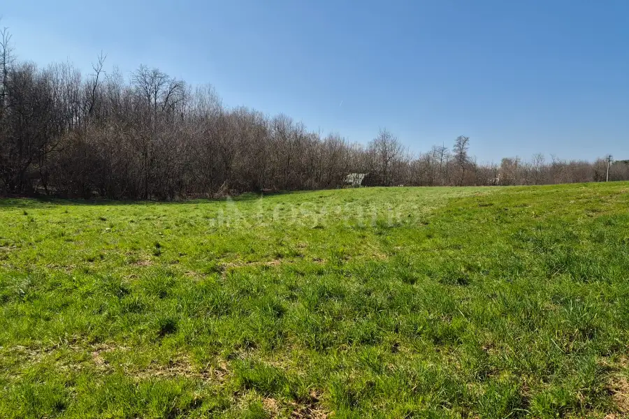 Agricolo in vendita di 80.000 mq a €445.000 (rif. 8/2025)