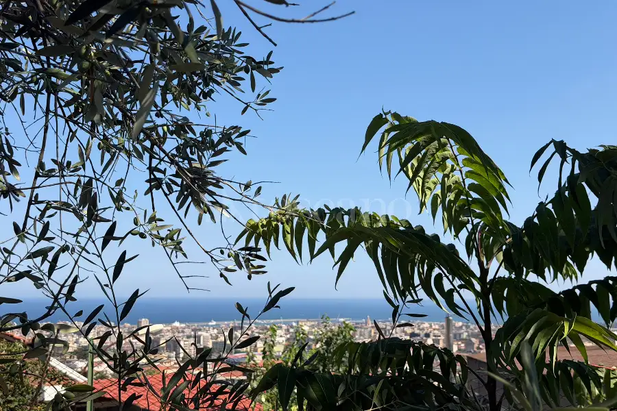 Villa in vendita di 6.000 mq a €659.000 (rif. 116/2026)