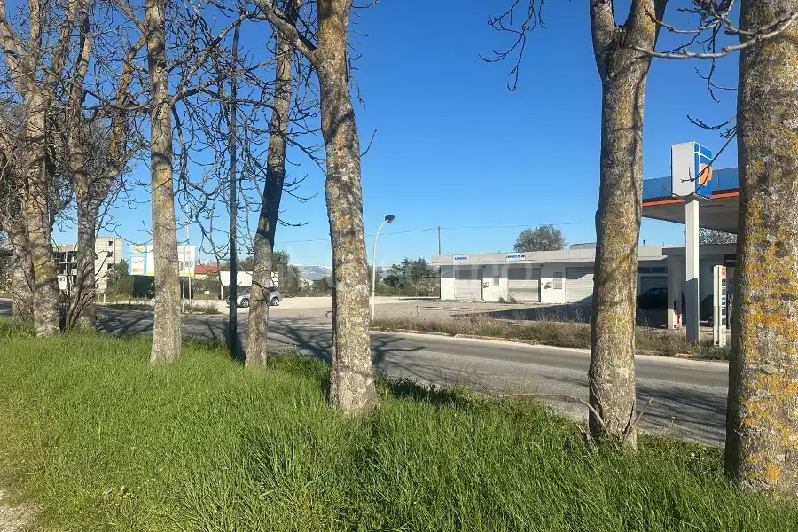 Edificabile Residenziali in vendita di 16.000 mq trattativa riservata (rif. 38/2026)