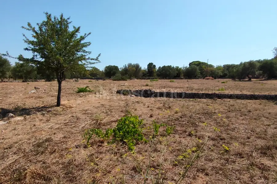 Casa Indipendente in vendita di 50 mq a €155.000 (rif. 32/2026)