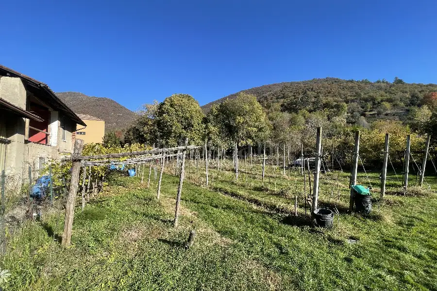 Casale in vendita di 1.300 mq a €560.000 (rif. 65/2023)