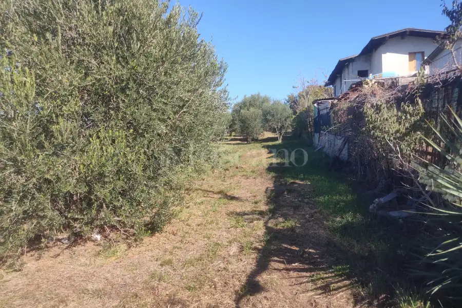 Agricolo in vendita di 2.250 mq a €49.000 (rif. 17/2025)