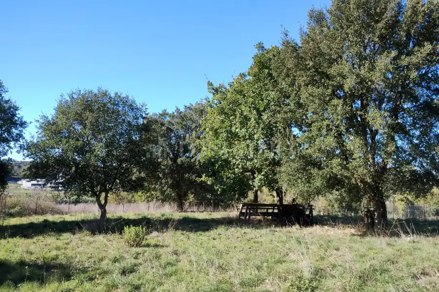 Agricolo in vendita di 1.200 mq a €45.000 (rif. 62/2025)