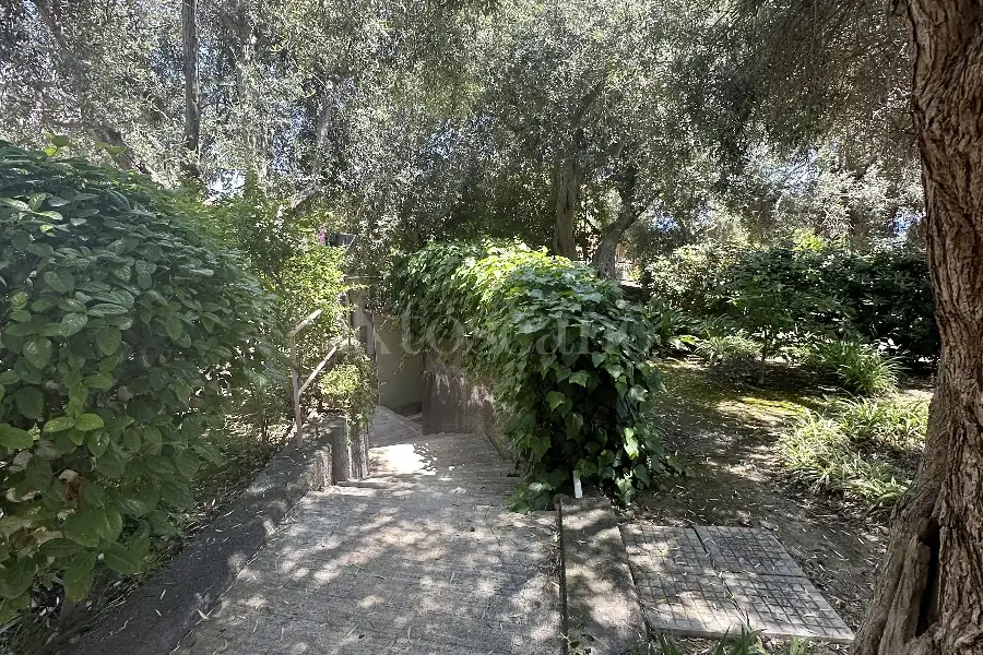 Cantina in vendita di 42 mq a €52.000 (rif. 37/2026)