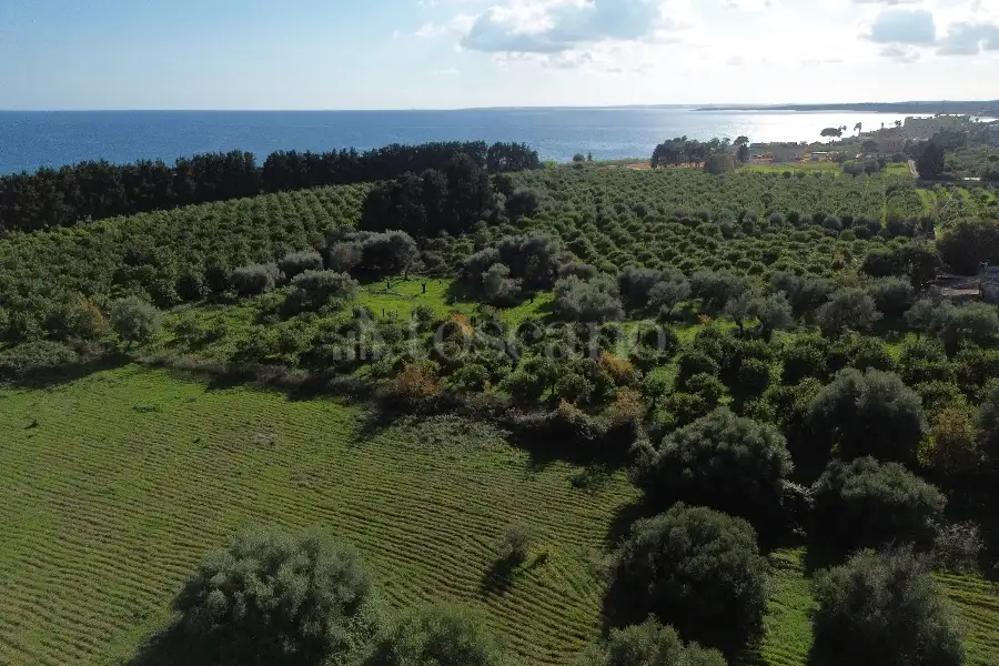 Edificabile Residenziali in vendita di 25.000 mq a €335.000 (rif. 137/2025)