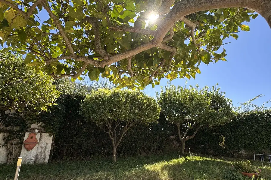 Villa in vendita di 500 mq a €1.080.000 (rif. 46/2025)