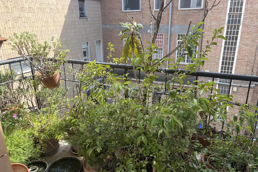 Casa in vendita di 60 mq a €99.000 (rif. 29/2026)
