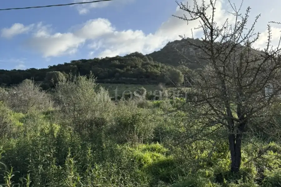 Edificabile Residenziali in vendita di 1.177 mq a €99.000 (rif. 3/2026)