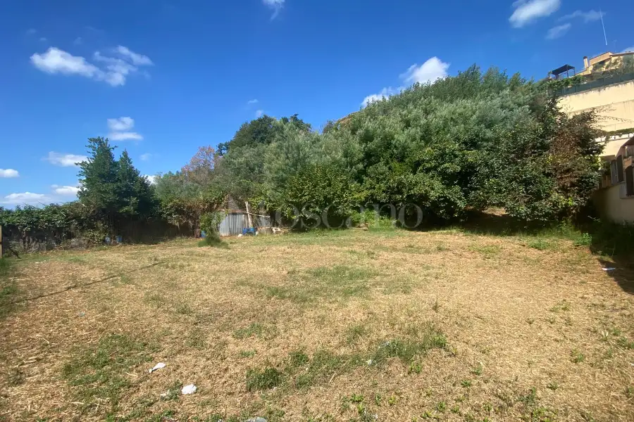 Agricolo in vendita di 1.500 mq a €54.000 (rif. 43/2025)